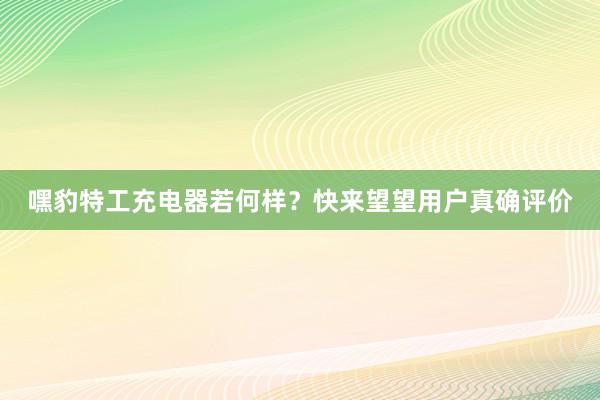 嘿豹特工充电器若何样？快来望望用户真确评价