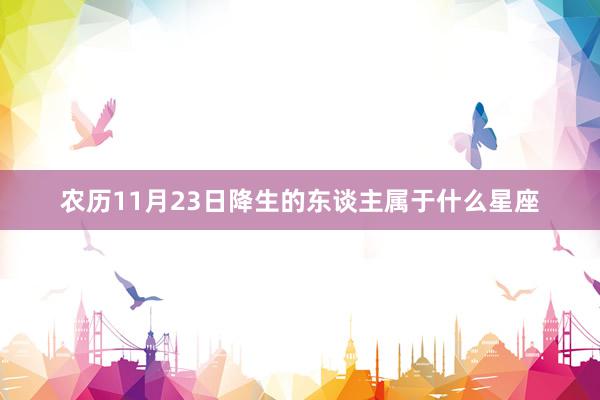 农历11月23日降生的东谈主属于什么星座